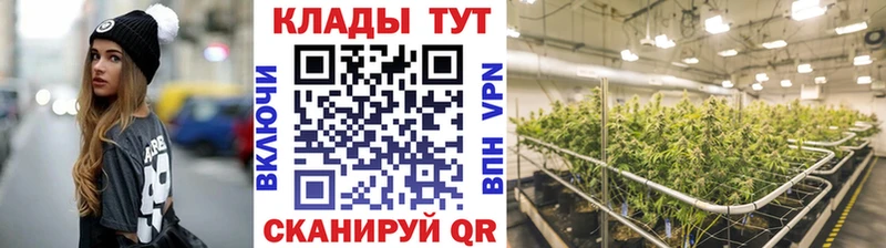 Наркошоп купить A PVP Канабис КОКАИН МЕФ Гашиш Верея